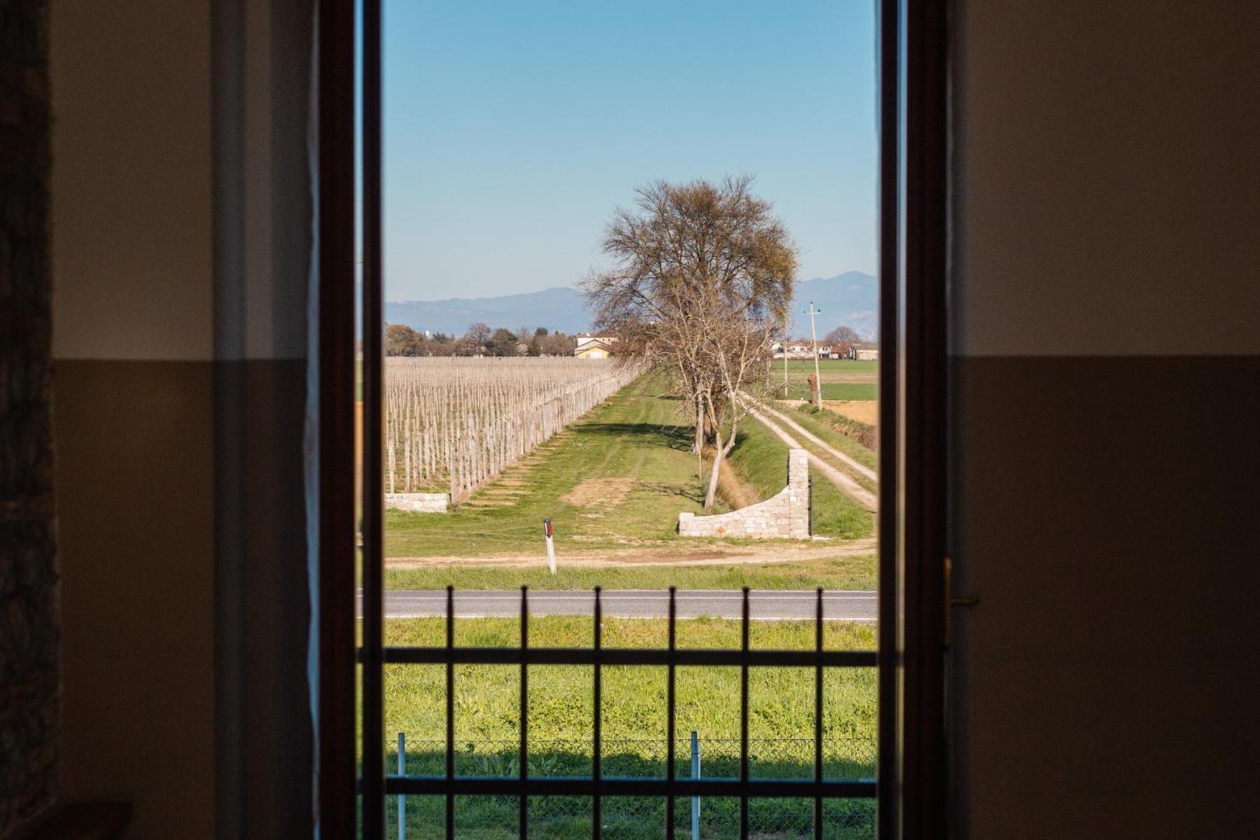 Agriturismo Mulino Delle Tolle Bagnario Arsa Bagian luar foto