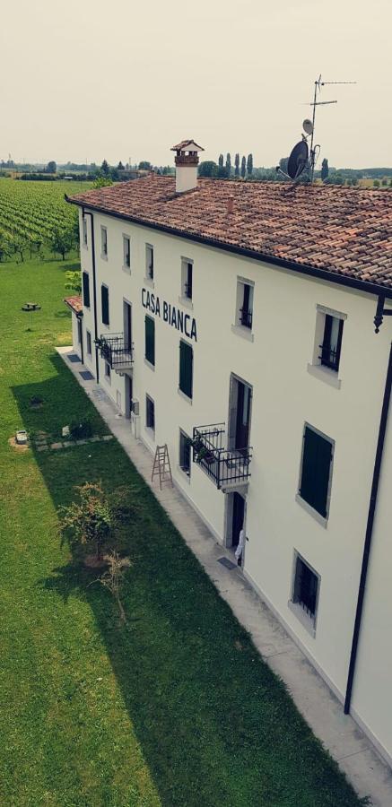 Agriturismo Mulino Delle Tolle Bagnario Arsa Bagian luar foto