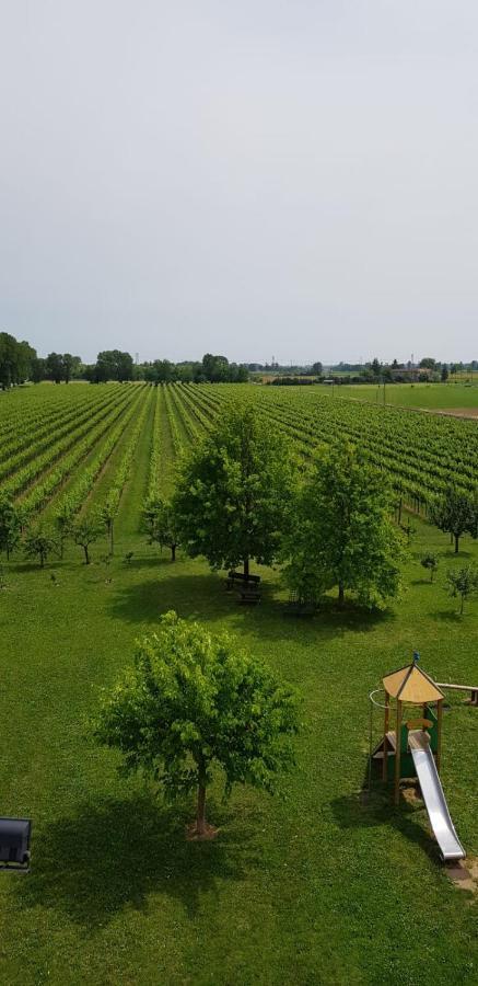 Agriturismo Mulino Delle Tolle Bagnario Arsa Bagian luar foto